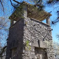 Sittnerwarte