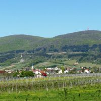 Anningerblick